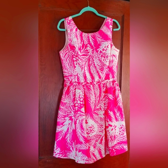 Taylor Dresses & Skirts - Taylor Pink Pineapple Party Dress